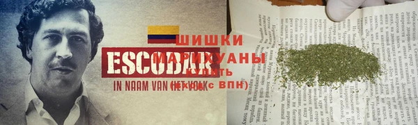 стаф Бородино