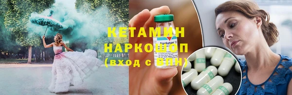 стаф Бородино