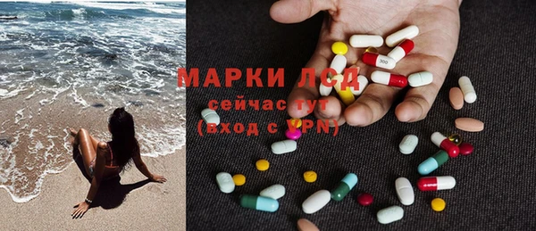 стаф Бородино
