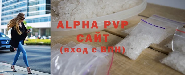 стаф Бородино